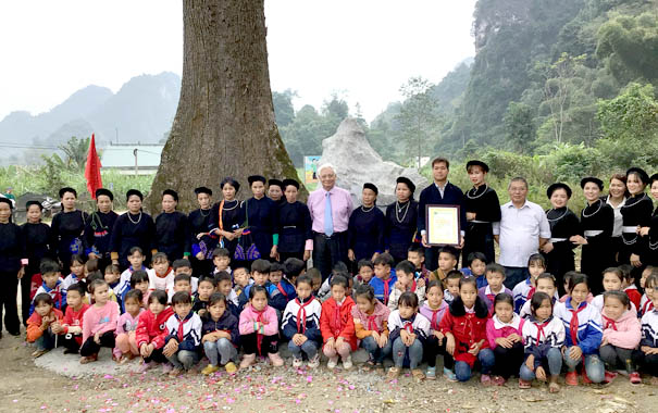 "Vinh[-]dự[-]và[-]tự[-]hào[-]Cây[-]Di[-]sản[-]đầu[-]tiên[-]của[-]huyện[-]Quảng[-]Hoà,[-]Cao[-]Bằng"